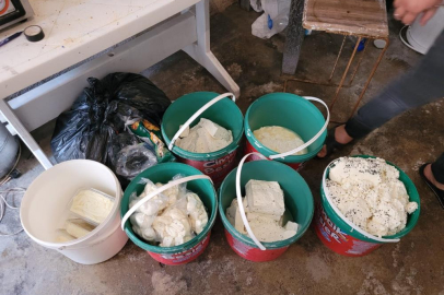 Bursa'da peynir imalathanesinde şok görüntüler