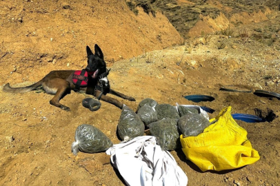 Terörün finans kaynağına darbe