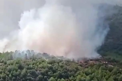 İzmir’deki orman yangınına müdahale sürüyor
