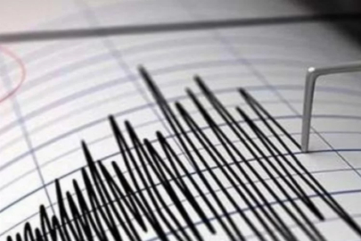 Van Gölü'nde korkutan deprem