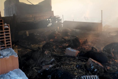 Bursa'da  yangında 44 hayvan telef oldu