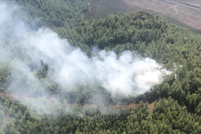 Muğla'da çıkan orman yangını söndürüldü