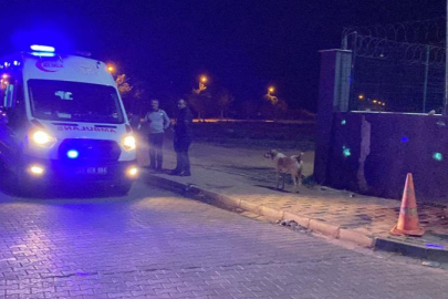 Öğrenci yurdunda asansör kazası: 1 ölü