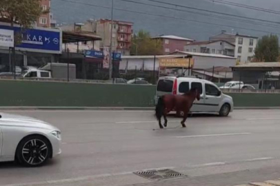 Bursa’da anayola çıkan at tehlike saçtı