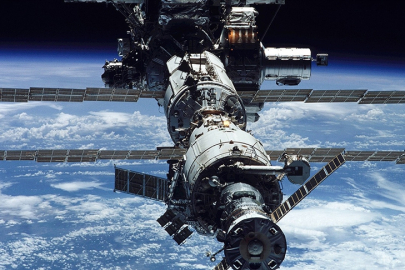 Bilim insanları, uzayda ilk defa fare embriyosu büyüttü