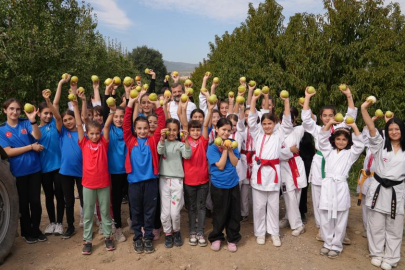 'Bizim elimiz sadece armut toplamaya kalkar'