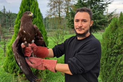 Yaralı kartal tedavisinin ardından özgürlüğüne kavuştu