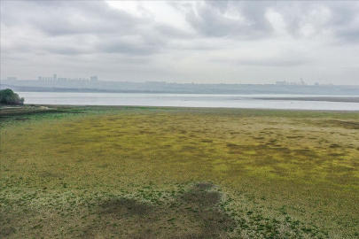 Bitmeyen yaz, barajlardaki su seviyesini olumsuz etkiliyor