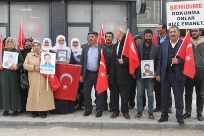 Vanlı ailelerin evlat nöbeti devam ediyor