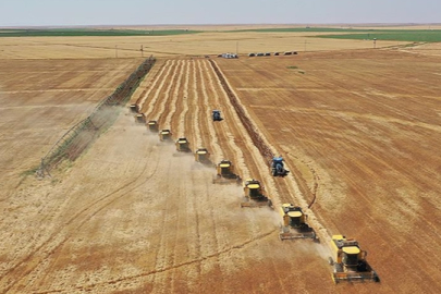 Tarım-ÜFE verileri açıklandı