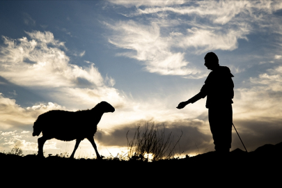 Hayvancılık, destek projeleriyle gelişiyor
