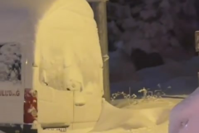 Uludağ'da kış uykusuna yatamayan ayılar yemek aramaya çıktı