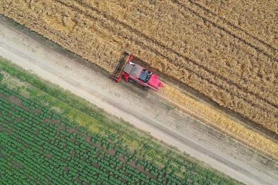Tarımsal amaçlı örgütler derecelendirilecek