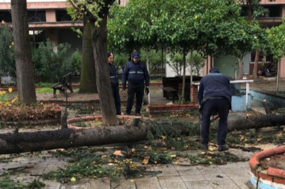 Osmangazi’de lodos mesaisi