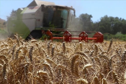 Çiftçilere tarımsal destek ödemesi bugün hesaplara yatacak
