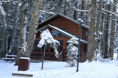 Uludağ'a kar yağdı, Orman Evleri'ne ilgi arttı