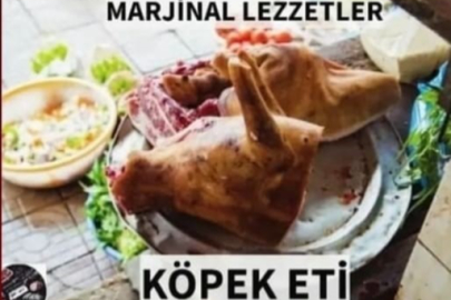 Köpek eti satışı iddiasında gerçek ortaya çıktı