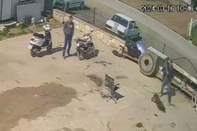 Köpeğe saldırana ev hapsi, izleyene barınakta çalışma cezası