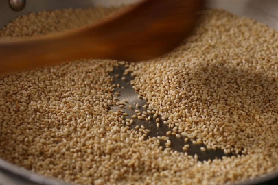 Susam ihracatında rekor artış