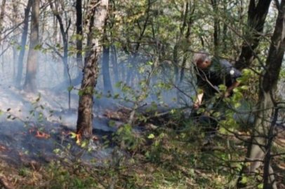 Uludağ eteklerinde çıkan yangını söndürme çalışmaları paylaşıldı