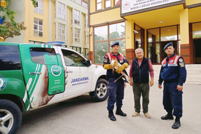 Bursa'da yaralı leyleğe jandarma şefkati