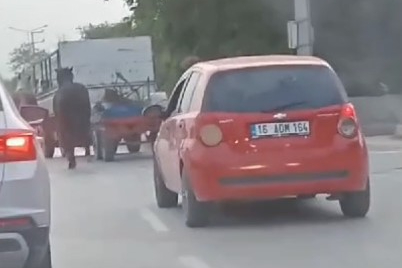 Bursa'da atlara eziyet kamerada