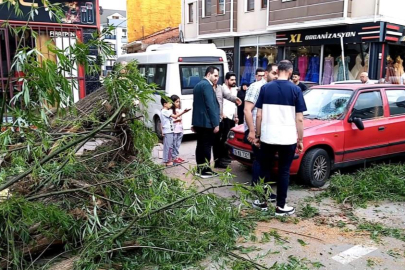 Bursa'da seyir halindeki otomobilin üzerine ağaç devrildi
