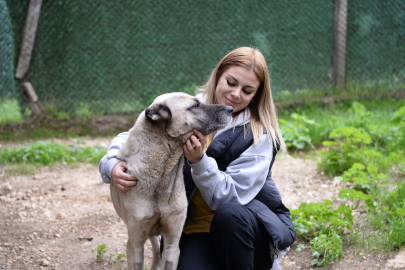Başkan Aydın: Hayvanlar uyutulmasın, sahiplendirilsin