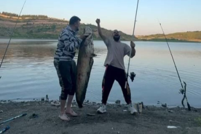 Bursa'da 165 santimetrelik balık tutan iki arkadaşa para cezası