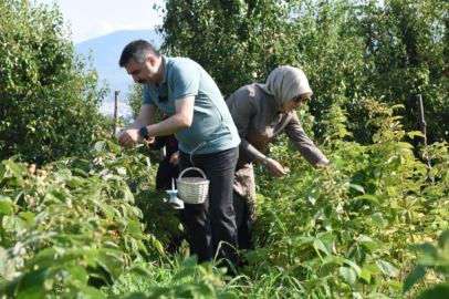 Yıldırım'da tarladan sofraya kadın eli