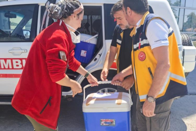 1 yaşındaki bebeğin organları 4 hastaya umut oldu