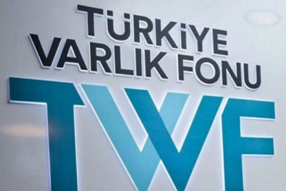 12 şirketin Hazine'ye ait hisseleri Türkiye Varlık Fonu'na aktarıldı