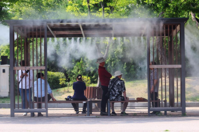 Güney Kore'deki aşırı sıcaklarda can kaybı 28'e yükseldi