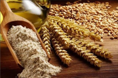 Büyükşehir’den ‘Siyez Buğdayı’ alım desteği