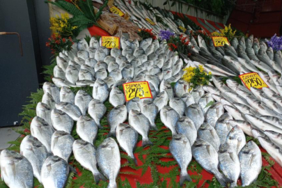 Balık sezonu açıldı, balıklar tezgahlardaki yerini aldı