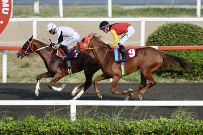 TSYD Koşusu'nda kazanan 'O Bir Çelik' oldu