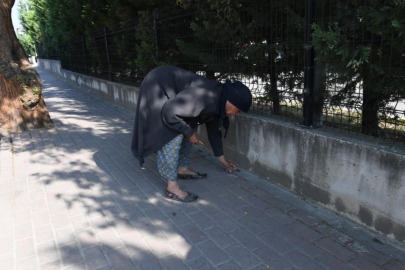 82 yaşındaki Nefise teyzeden örnek çevre hareketi