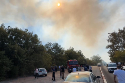 Üniversite kampüsünde orman yangını