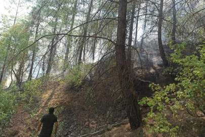 Antalya'daki orman yangını büyümeden söndürüldü