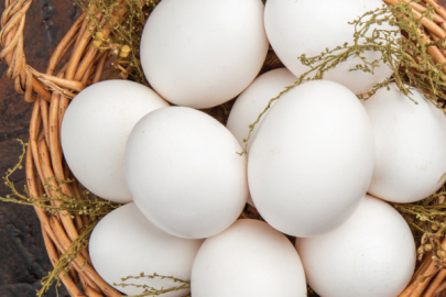 Türkiye'de kişi başına yılda 150 yumurta düşüyor