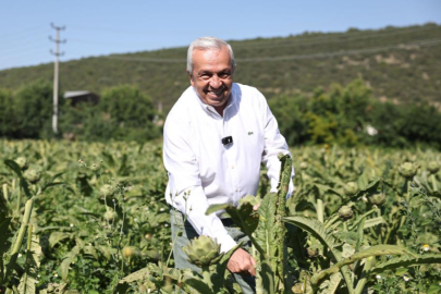 Nilüfer’de tarım ve kooperatifçilik için yeni bir modele doğru