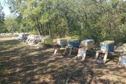 BUÜ'nün zarar gören arı kovanları üretici desteğiyle yenilendi