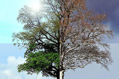 Değişken havalara dikkat! Sağlığınızdan olmayın