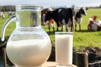 Ticari süt işletmelerince 934 bin 396 ton inek sütü toplandı