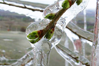 Bursa Valiliğinden son dakika uyarısı!