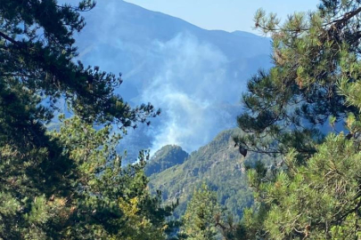 Hatay’da orman yangını