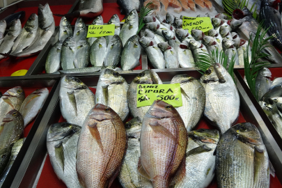 Denizlerin prensi ’lüfer’ 1200 liradan tezgahta