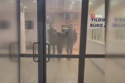 Bursa'da 22 yıl hapis cezası vardı, maç izlerken yakalandı