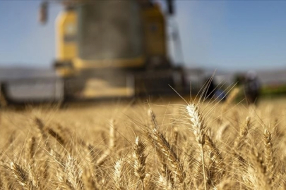 Tarımsal girdi fiyat endeksi yıllık yüzde 32,59 arttı