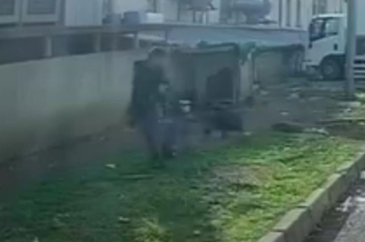 Bursa'da başıboş köpeğin saldırısına uğradı